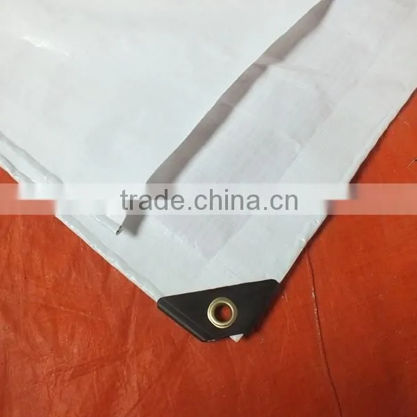Printed Tarpaulin Hot Sale Waterproof Tarpaulin photo-3
