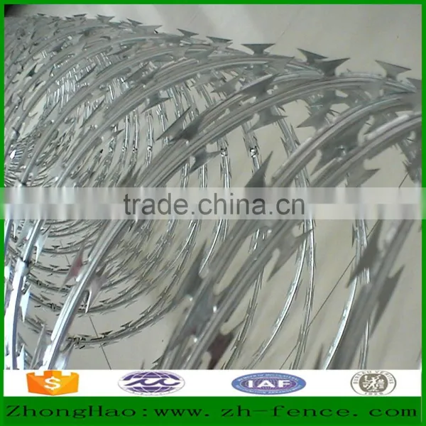 High Quality Razor Barbed Wire Fence Used Prision Fence Directly Sale From Factory photo-5