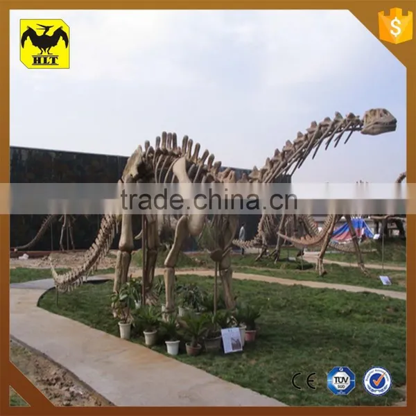 HLT On Exhibit Dinosaur Footprints Fossils Of Dinosaur photo-3