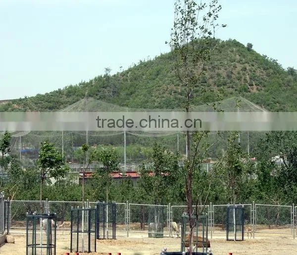 ss Wire Rope Mesh photo-5
