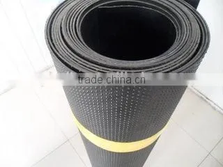 Low Permeability HDPE Geomembrane For Landfill photo-5
