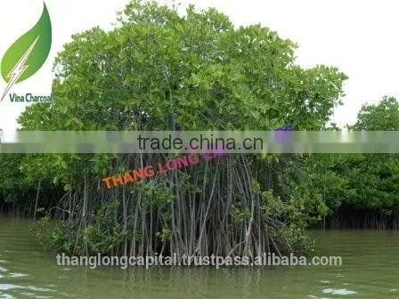 Mangrove Charcoal for BBQ photo-2