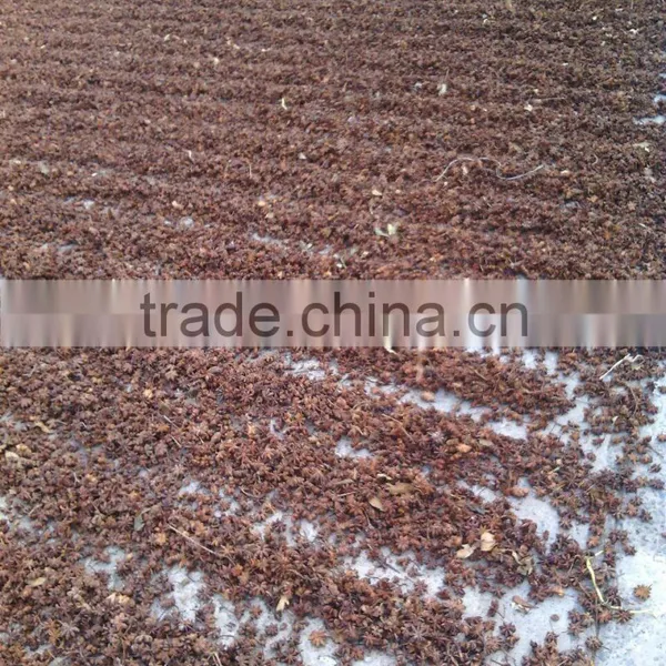 Spice/ Organic Star Aniseeds photo-4