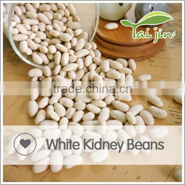 Foul Medames White Kidney Beans For Canning photo-2