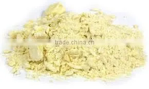 Natural Pineapple Powder