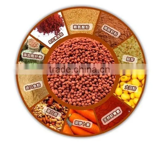 Twin Screw Extruder to Make Fish Meal photo-2