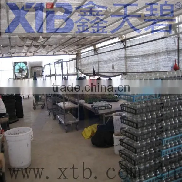 Commercial Greenhouse for Agriculture photo-6