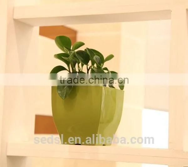 " TOP 1 Pot Supplier" Decoration Container Homes for Sale Home Gardening Plastic Pots photo-6