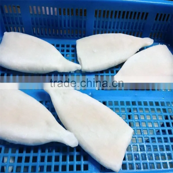 Frozen Pacific Squid Tube u5 u7 U10 photo-6