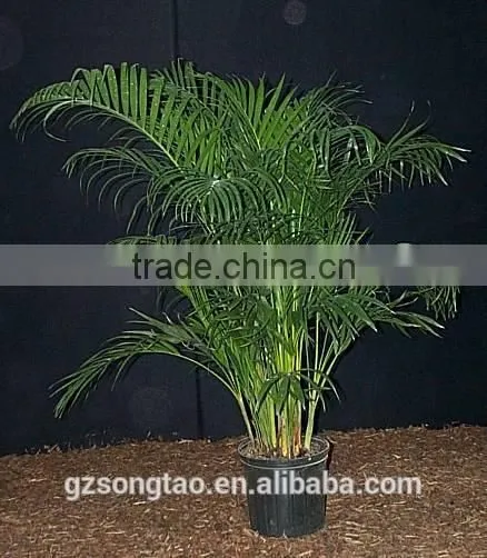 Indoor Foliage Artificial Plant Artificial Potted Plants photo-3
