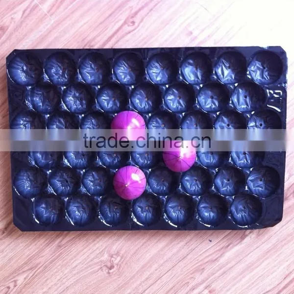 Walmart&Kroger Supermarket Display Disposable Plastic Fruit and Vegetable Trays photo-4