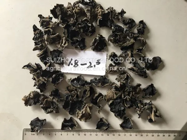 Factory Price Bulk Dried Black Fungus Whole Grade A (1.0-1.8cm,1.8-2.5cm,2.5cm Above) photo-2