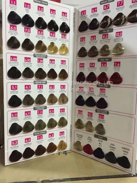 Hair Color Book Leading Manufacture photo-2