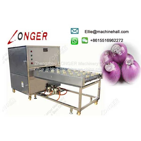 Commercial Stainless Steel Onion Root Cutting Machine Manufacturer photo-3