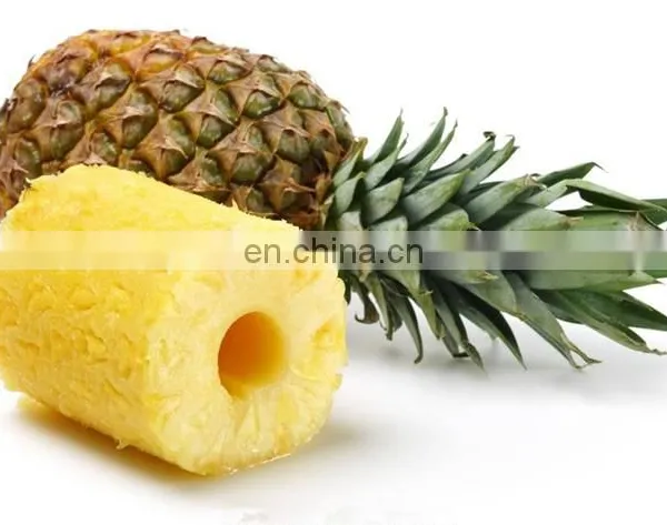 High Quality Pineapple Processing Machine for Peeling Cutting Slicing photo-5