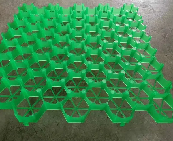 5cm7cm flower mouth flat mouth grass green parking lot fire lane roof garden grass planting grid