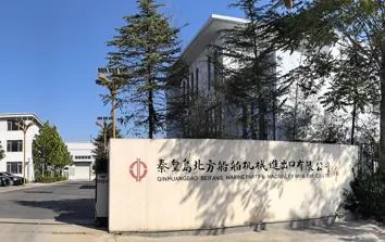 BFMP is a Global Expert in Power Plant EPC Solutions