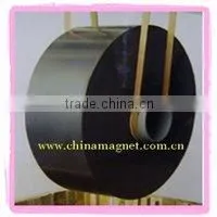 Magnetic Roller