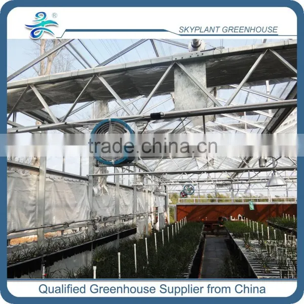 High Quality Glass Greenhouse for Vegetable Quality Choice photo-6