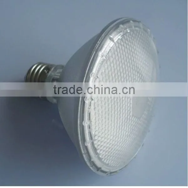 LED Light (PAR30)