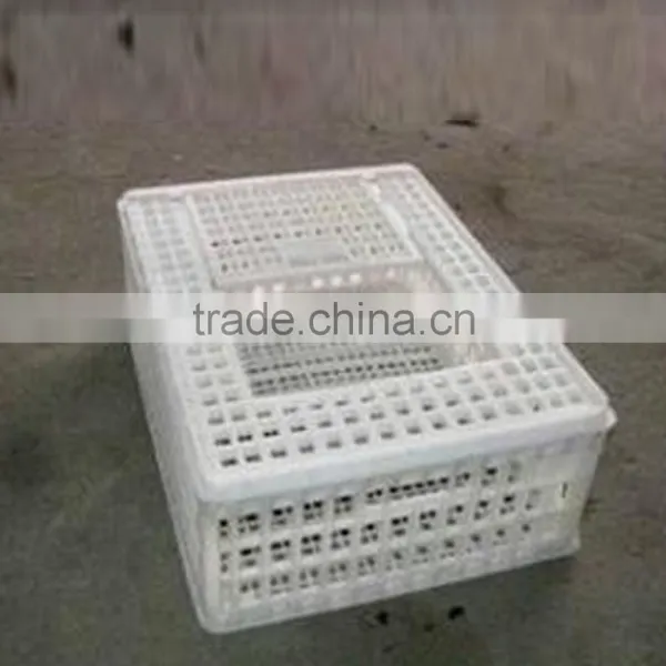 Poultry Cage, Poultry Cage Manufacturer photo-5