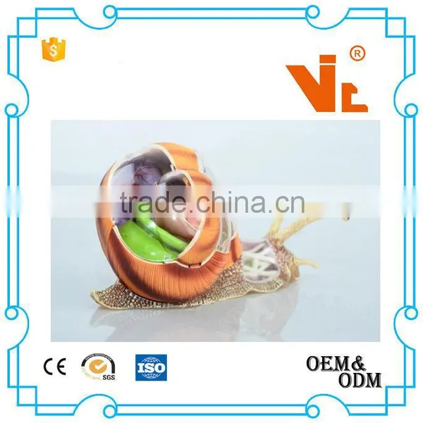 V-AM055 4D MASTER Snail Specimens Anatomical Model photo-4