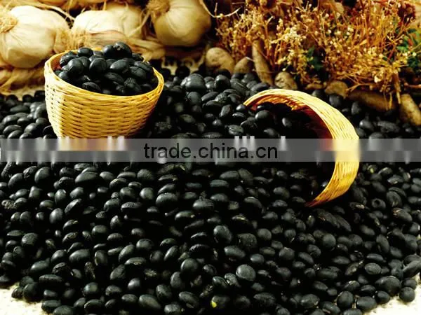 2016 China Black Kidney Beans photo-4