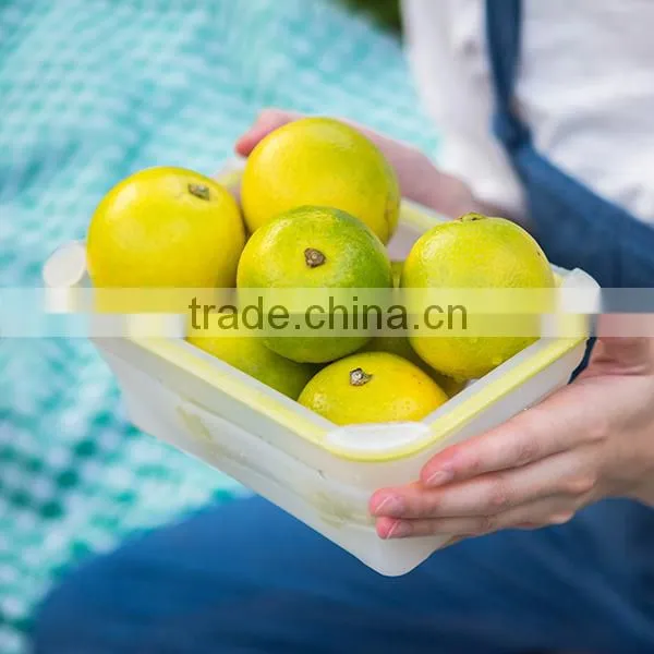 Office BPA Free Silicone Food Packaging Containers photo-2