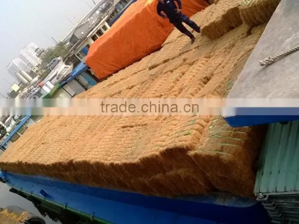 Coconut Fiber 2016 (qq : 2598494113) photo-4