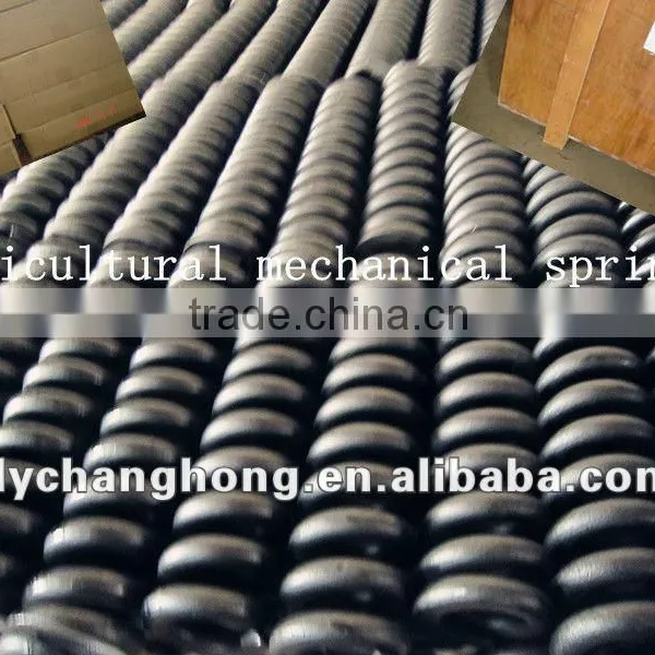 Stainless Steel Spring