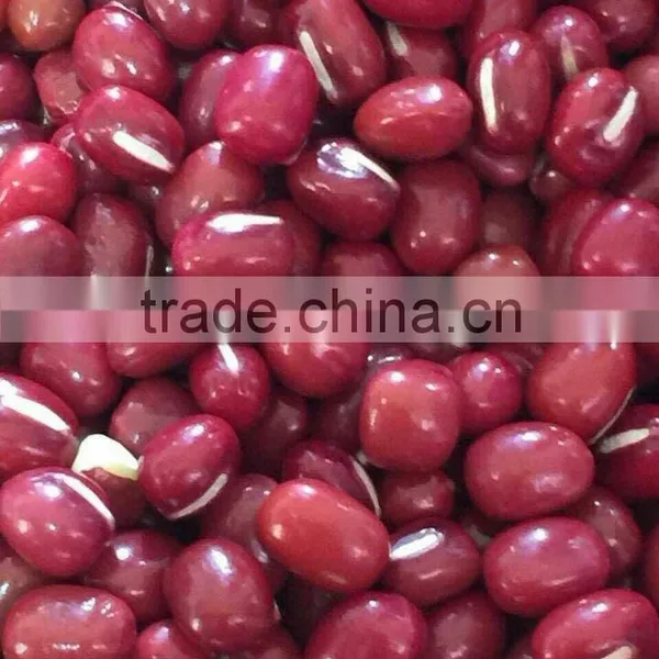 Small Red Pearl Bean photo-2