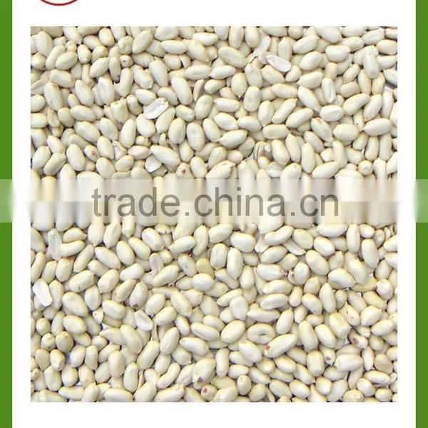 Offer China Shandong Blanched Peanut Groundnut Splits photo-5