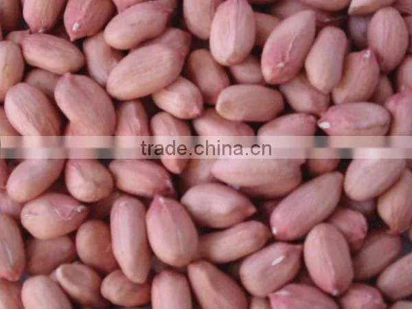 Chinese New Crop Peanuts kernels