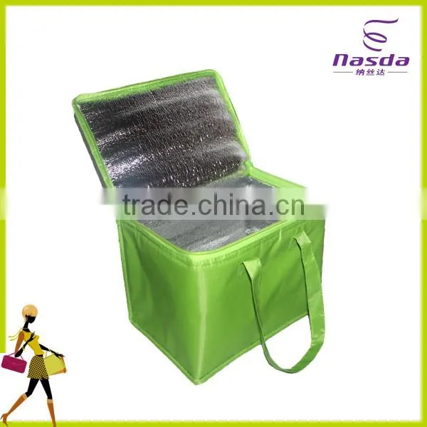 Insulated Non-woven Cooler Bag 6 Ice Pack for Cans photo-3