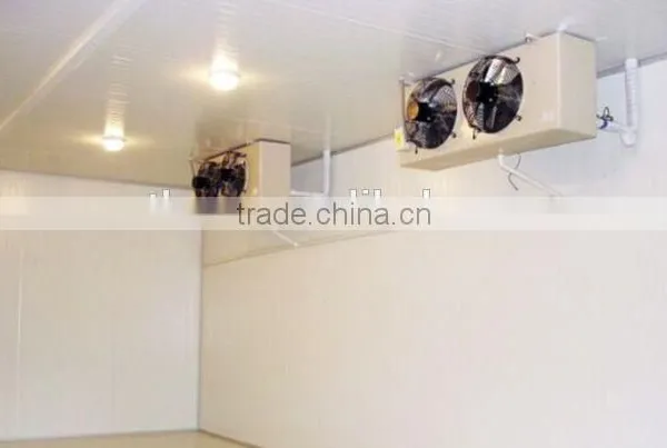 Cold Storage Room for Fruits and Vegetables With Competitive Price photo-2
