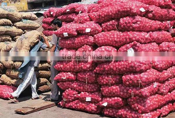 Vietnam Fresh Onion for Kuwait Market photo-3