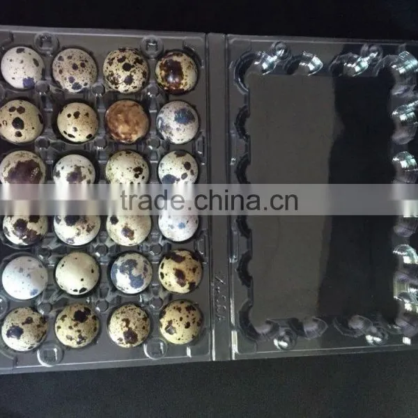 High Quality Disposable Quail Egg Tray 24 Holes photo-2