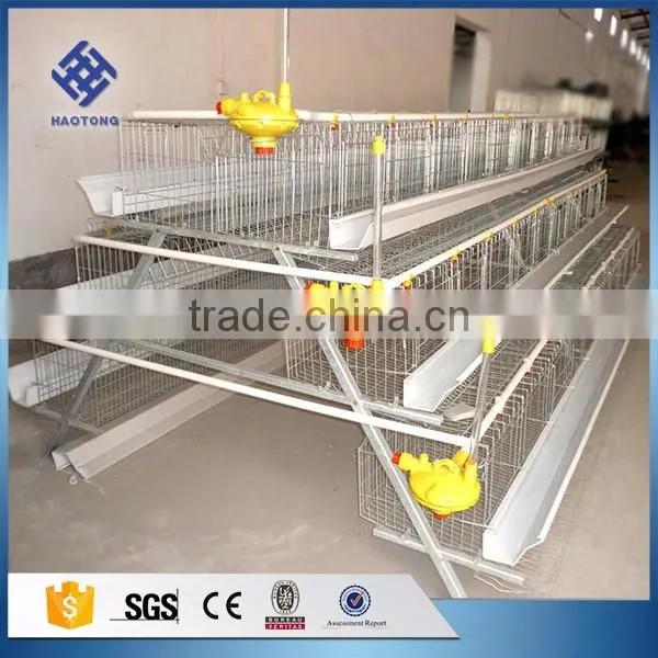 30 Years' factory supply automatic chicken nest