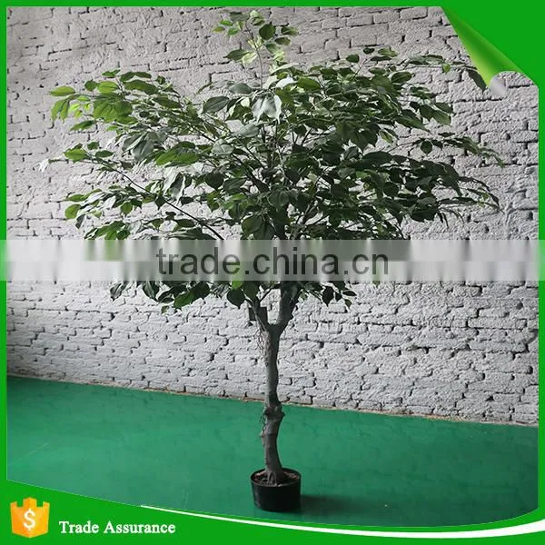 High Quality Lmitation Artificial Ficus Tree photo-3