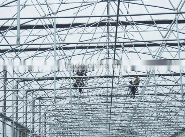 Multi Span Plastic Roofing Sheets Agricultural Commercial Greenhouses for Sale photo-4