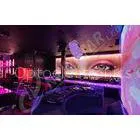 P5.21 3 In 1 RGB Slim Led Display Boards Indoor For Disco , Bar