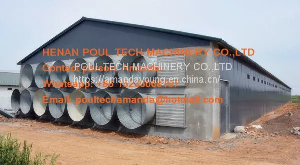 Cameroon Poultry Farming A Type Battery Layer Cage & Chicken Coop & Hot Galvanized Cage & Hen Cage With 120 Birds in Shed photo-3