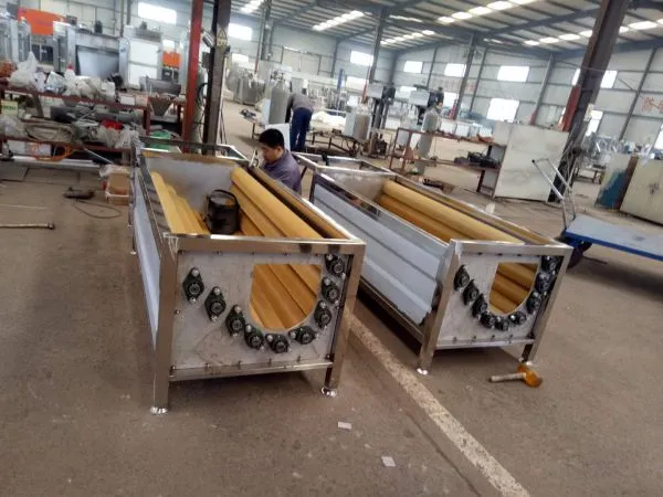Automatic Fruit Washing Automatic Vegetable Washer