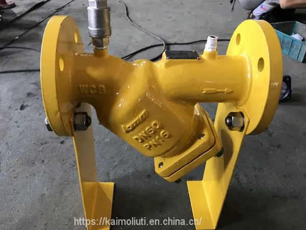 WCB Y Strainer Filter With Differential Pressure Gauge for Natural Fuel Gas photo-4