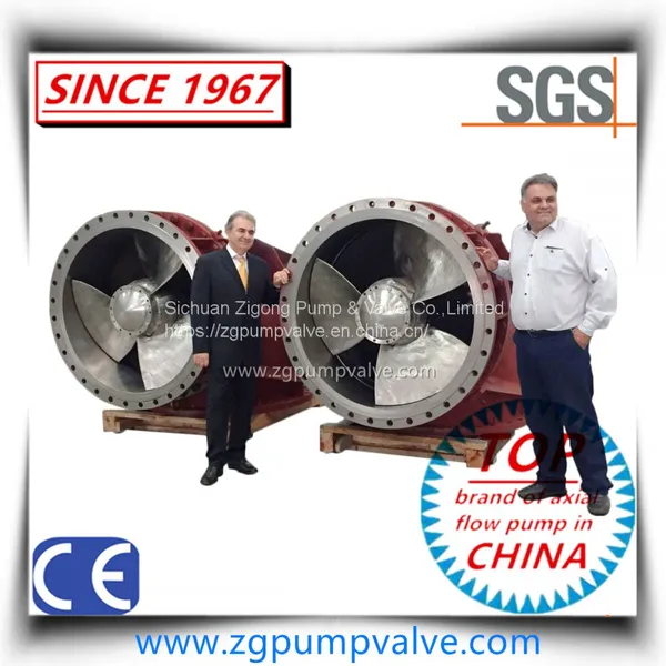 Big Diameter Horizontal Chemical Axial Flow/Elbow Pump for Salt Making Industry photo-5