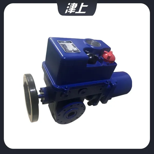 Part of the Rotary Electric Actuator BS-60/K30Z Direct Electric Actuator photo-4