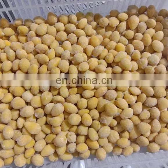 Sinocharm BRC-A Approved New Crop IQF Frozen Ginkgo Nut IQF Ginkgo Nut photo-3