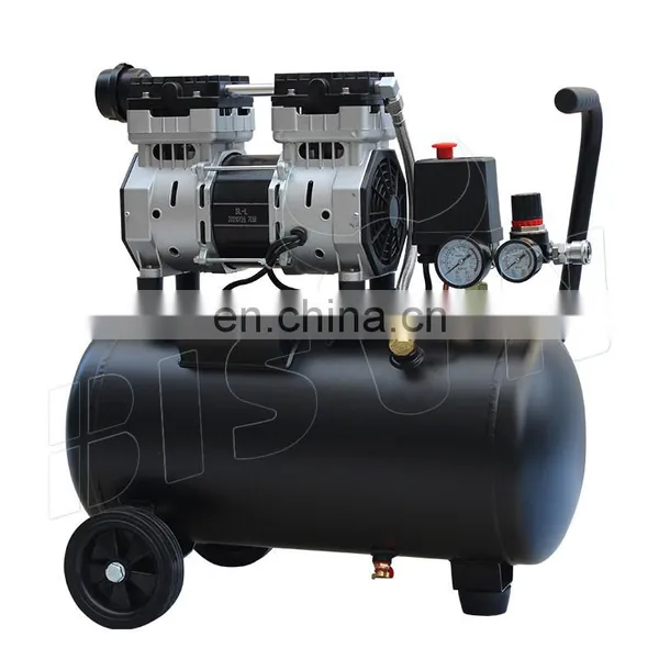 Bison China 230 V 24l Dental Air Compressor Painting Silent Portable Oil Free 1hp 750W Compresor De Aire Portatil photo-3