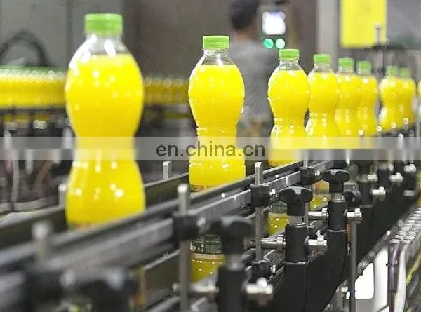Automatic Industrial Complete Pineapple Juice Production Line photo-2