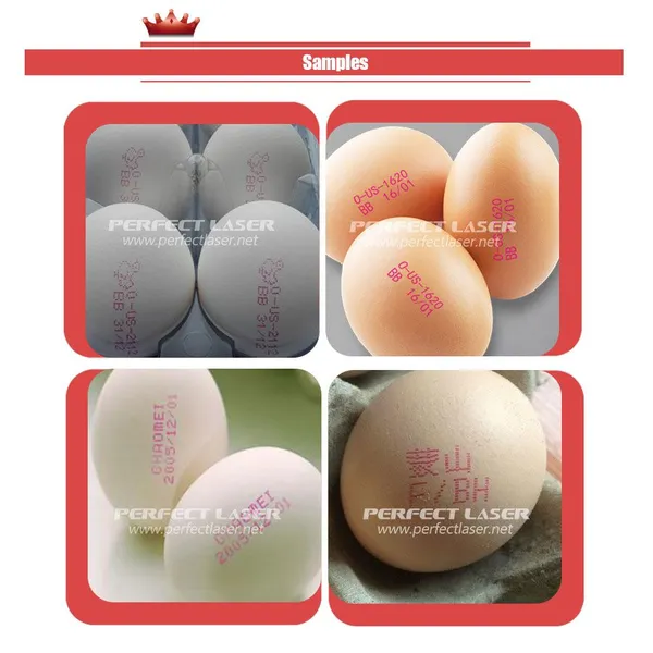 Perfect Laser High Definition Auto Expiry Date Inkjet Printer Industrial QR Code Batch Coding Machine photo-4
